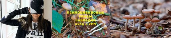 гидра Белоозёрский