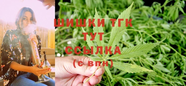 гидра Белоозёрский