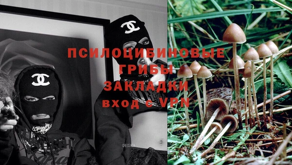 гидра Белоозёрский