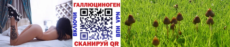 KRAKEN ССЫЛКА  купить  сайты  Миллерово  Псилоцибиновые грибы GOLDEN TEACHER 
